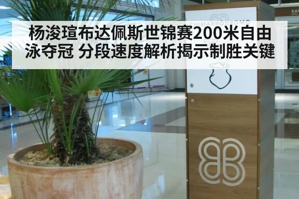 杨浚瑄布达佩斯世锦赛200米自由泳夺冠 分段速度解析揭示制胜关键
