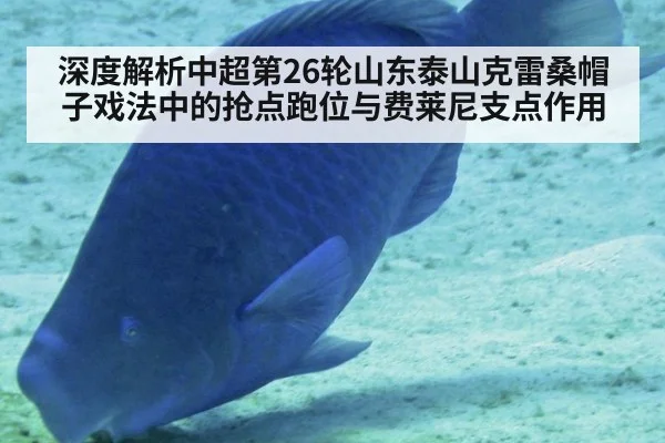 深度解析中超第26轮山东泰山克雷桑帽子戏法中的抢点跑位与费莱尼支点作用 - lejing